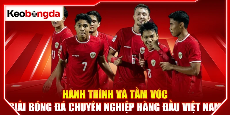 Hành trình và tầm vóc giải bóng đá chuyên nghiệp hàng đầu Việt Nam